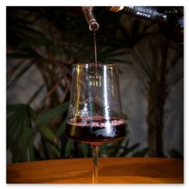 Pousada Alter do Chão 