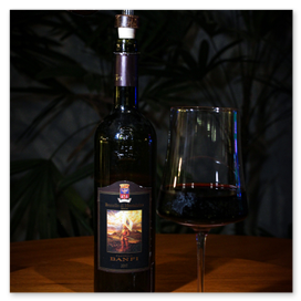 Pousada Alter do Chão 