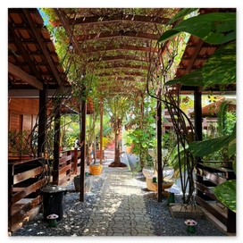 Pousada Alter do Chão 